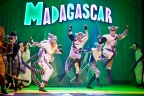 <i>Madagaskar – musicalowa przygoda</i>, reż. Jerzy Jan Połoński, Teatr Muzyczny w Poznaniu