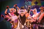 <i>Madagaskar – musicalowa przygoda</i>, reż. Jerzy Jan Połoński, Teatr Muzyczny w Poznaniu